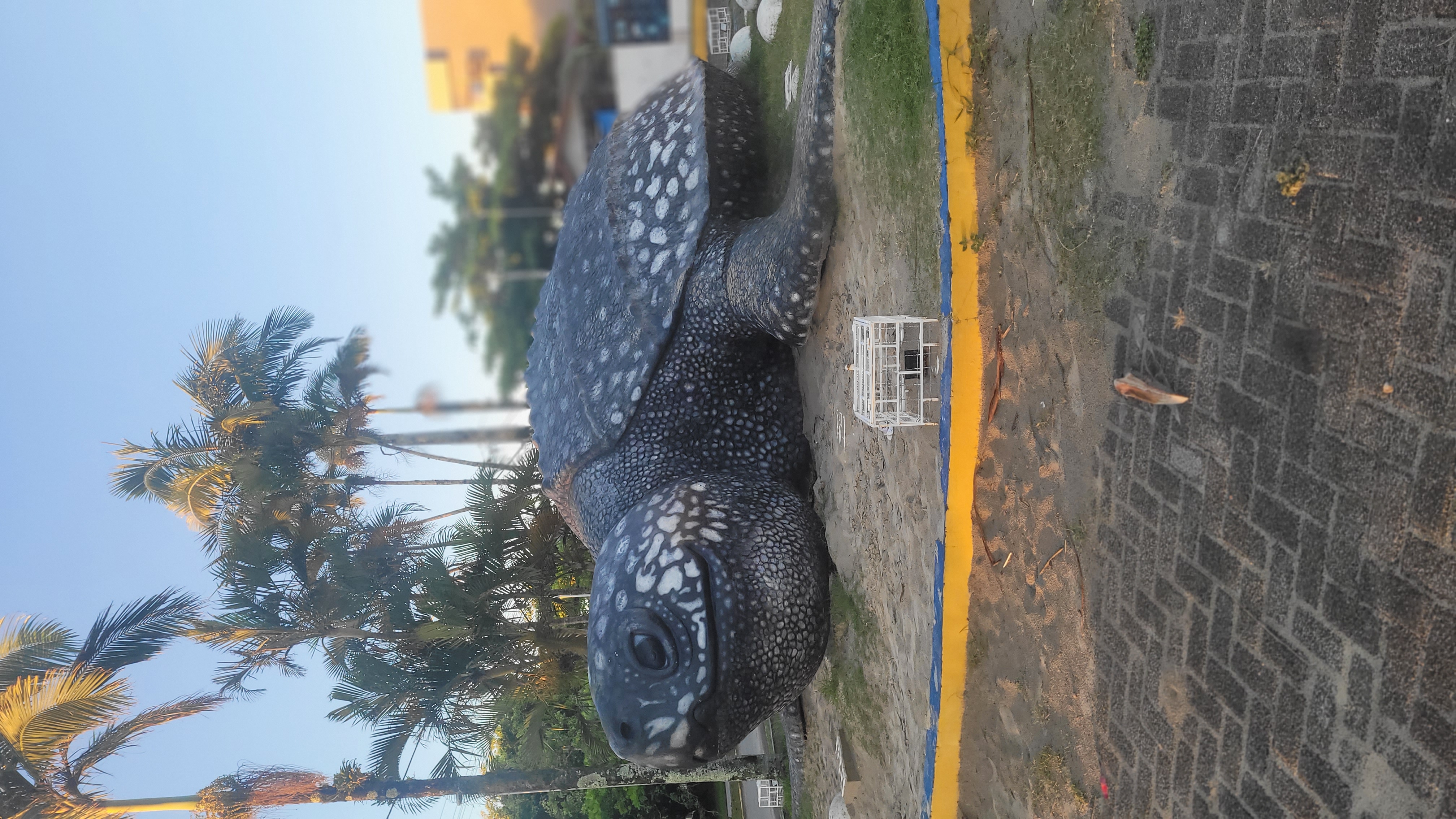 Tartaruga Gigante de Pontal do Sul 